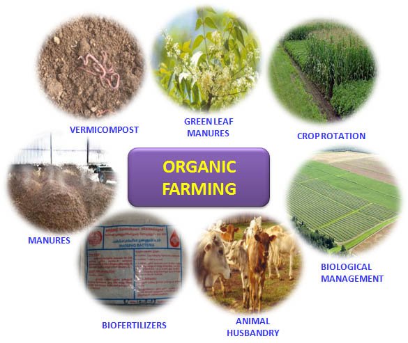 organic farming
